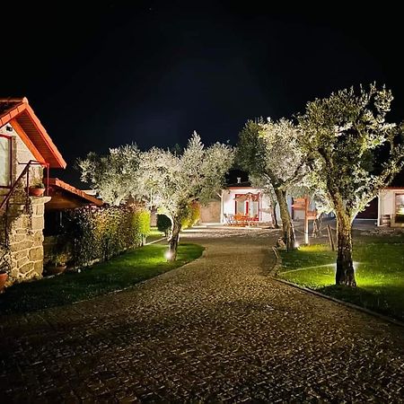 Penedo Village Marco de Canavezes Buitenkant foto